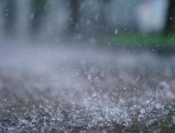 Alasan Aroma Hujan Bikin Kecanduan