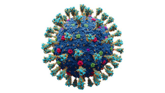 Boston Univeristy menyebut penelitian mereka yang mengombinasikan varian Covid-19 menciptakan virus Covid yang lebih mematikan bagi manusia.