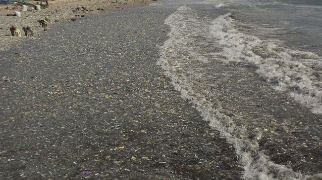 Menko Marves Luhut Binsar Pandjaitan mengklaim sampah plastik bakal lebih banyak ketimbang ikan di lautan pada 2050. Benarkah?
