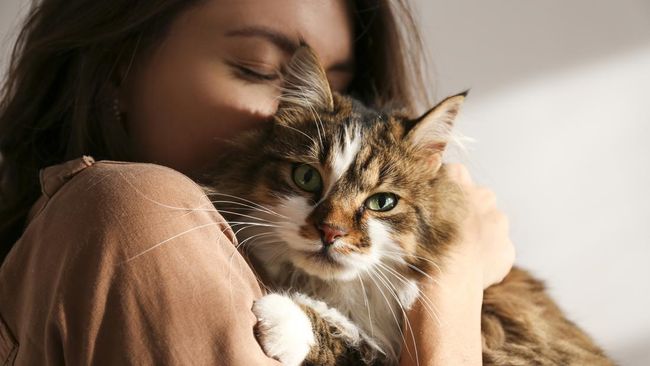 Bisakah manusia berkomunikasi dengan kucing? Sebuah studi mengungkapkan caranya yang berbeda dengan asumsi umum.
