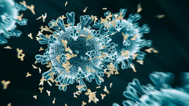Terlepas dari banyaknya kasus covid-19 di dunia, ternyata ada orang yang sama sekali belum terjangkit virus ini. Ahli punya penjelasan soal ini.