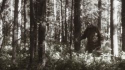 Bigfoot yang selama ini menjadi hewan legendaris di AS ternyata cuma mitos. Pakar data, Floe Foxon punya penjelasan soal itu.