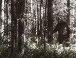 Pakar Beber Alasan Bigfoot Cuma Mitos