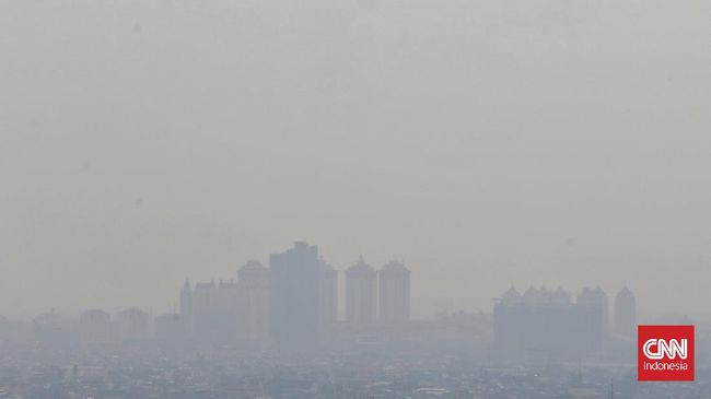 Studi mengungkap polusi udara jenis PM 2.5 melanda hampir semua tempat di dunia. Simak penyebabnya berikut.