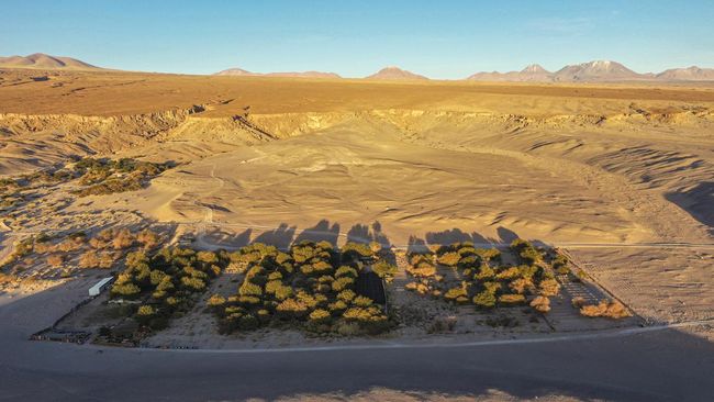 Bagian gurun di Andes, Chile, disebut menerima sinar Matahari sebanyak yang didapat Planet Venus. Simak sebabnya.