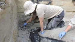 Para arkeolog menemukan perkakas berusia 476 ribu tahun. Spesies mana yang bisa menciptakan perkakas semacam itu pada zaman tersebut?