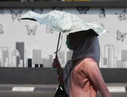 Makin Gerah, BMKG Akui Suhu Indonesia Melonjak Drastis Tahun 2023