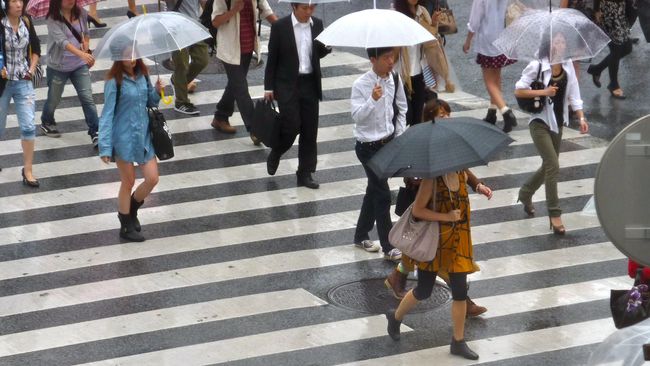 Beberapa wilayah Jakarta makin sering dilanda hujan ringan hingga lebat plus angin kencang. Apakah ini berarti sudah masuk musim hujan?