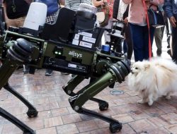 Robot Anjing Beraksi Atur Lalu Lintas, Curi Perhatian Masyarakat